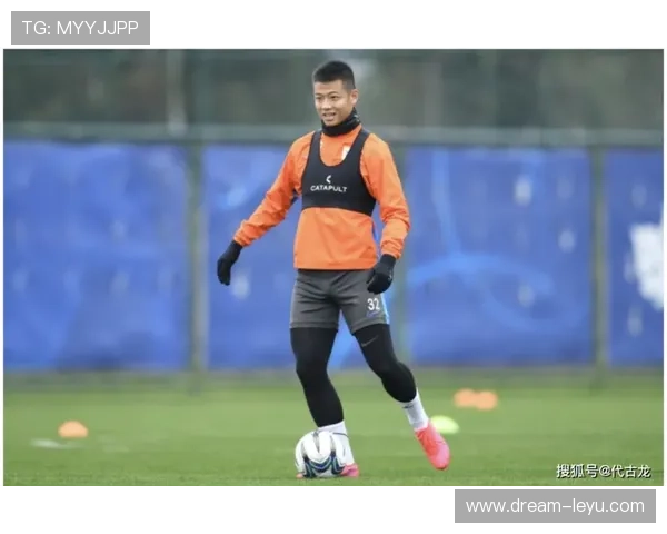 帕利尼亚面对高压逼抢的出球短板解析